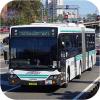 Articulated buses